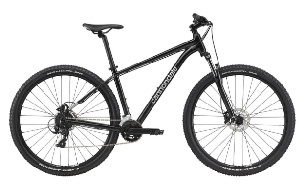 Obrázok z CANNONDALE TRAIL 8 2024 GRY