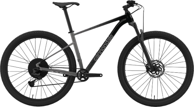 Obrázok z Cannondale TRAIL 29 SL 4 GRY