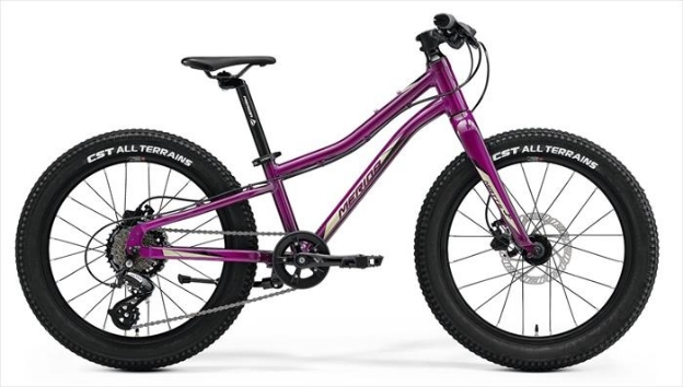 Obrázok z MERIDA MATTS J.20+ 2023 Purple(Black/Champagne)