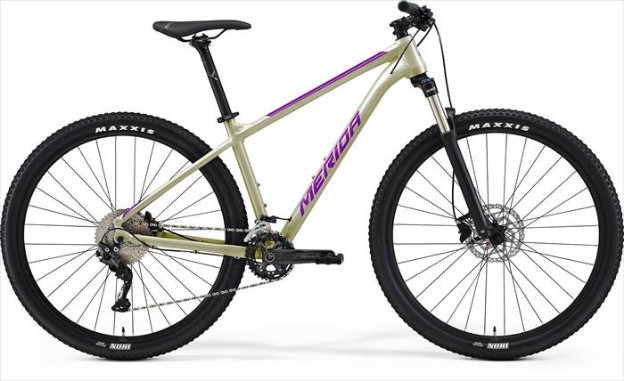 Obrázok z MERIDA BIG NINE 300 2023 Silk Champagne(Purple)
